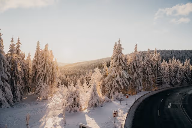 Winter morning snowy ground (alt example)